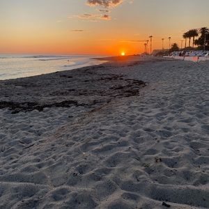 Meet your Posher, Carly